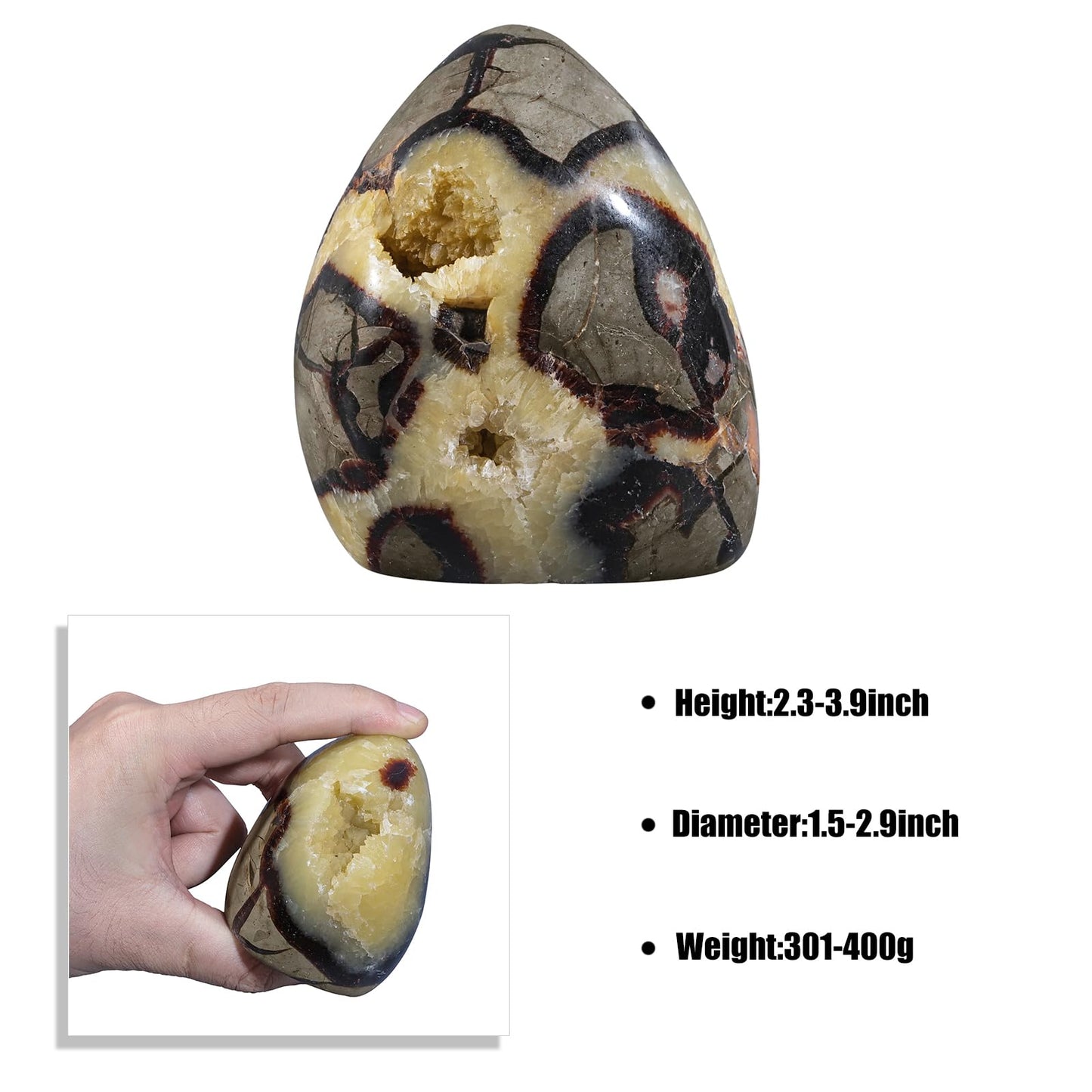 Sportmusies Natural Septarian Dragon Stone Geode Mineral Specimen Decoration for Reiki Home Office Desk, 2.36-3.93 Inches