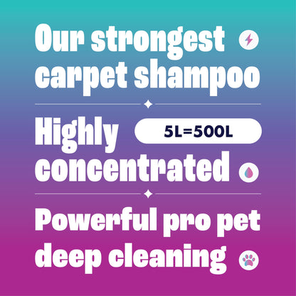 Dirtbusters Pet Pro Carpet Cleaner Shampoo Solution (5L) Deep Cleaning Stain Remover With Odour Neutraliser To Remove Dog & Cat Urine, Makes 500L Of Carpet Cleaner Solution