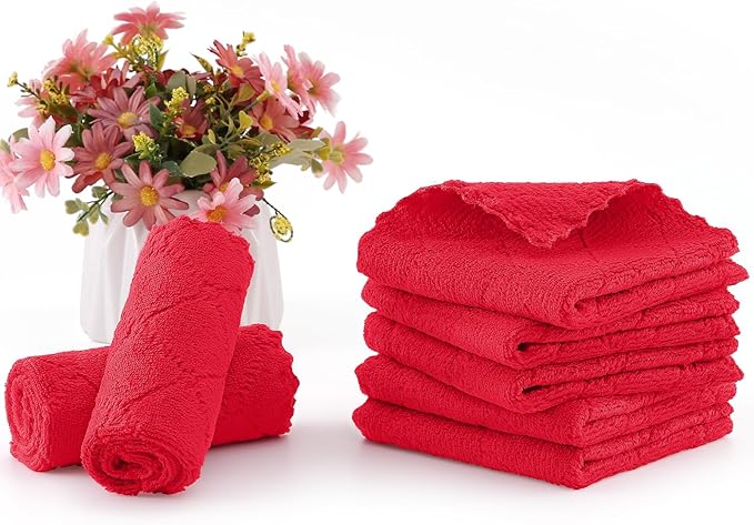 Homaxy 12 Pack Kitchen Dish Cloths, Super Soft and Absorbent Coral Velvet Dish
