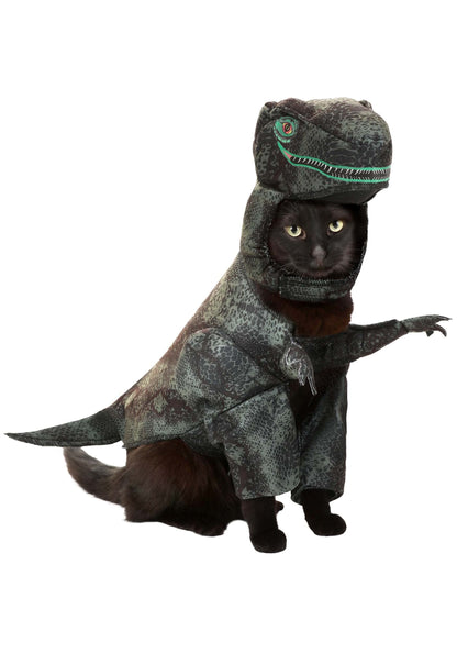 California Costumes Dog Pupasaurus Rex Costume Large