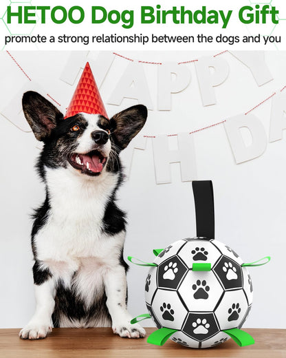 HETOO Interactive Dog Football Toys with Grab Tabs, Durable Dog Water Balls for Small Medium Breed, Indoor & Outdoor (6 Inch)