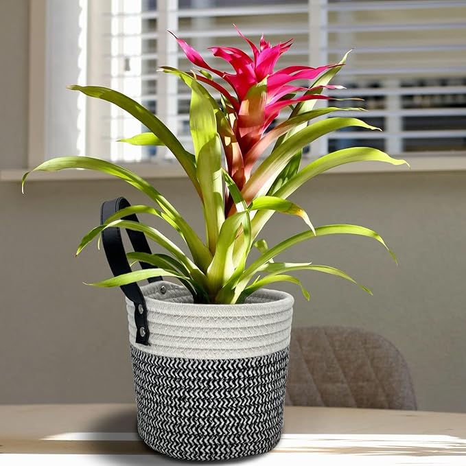 Cotton Rope Hanging Baskets for Organizing 2 Pcs Round Small Wall Basket