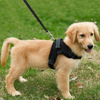 Dog Harness Mesh Breathable Comfortable Pet Vest No Pull Adjustable Soft Padded Dog Power Strap (S, Black)