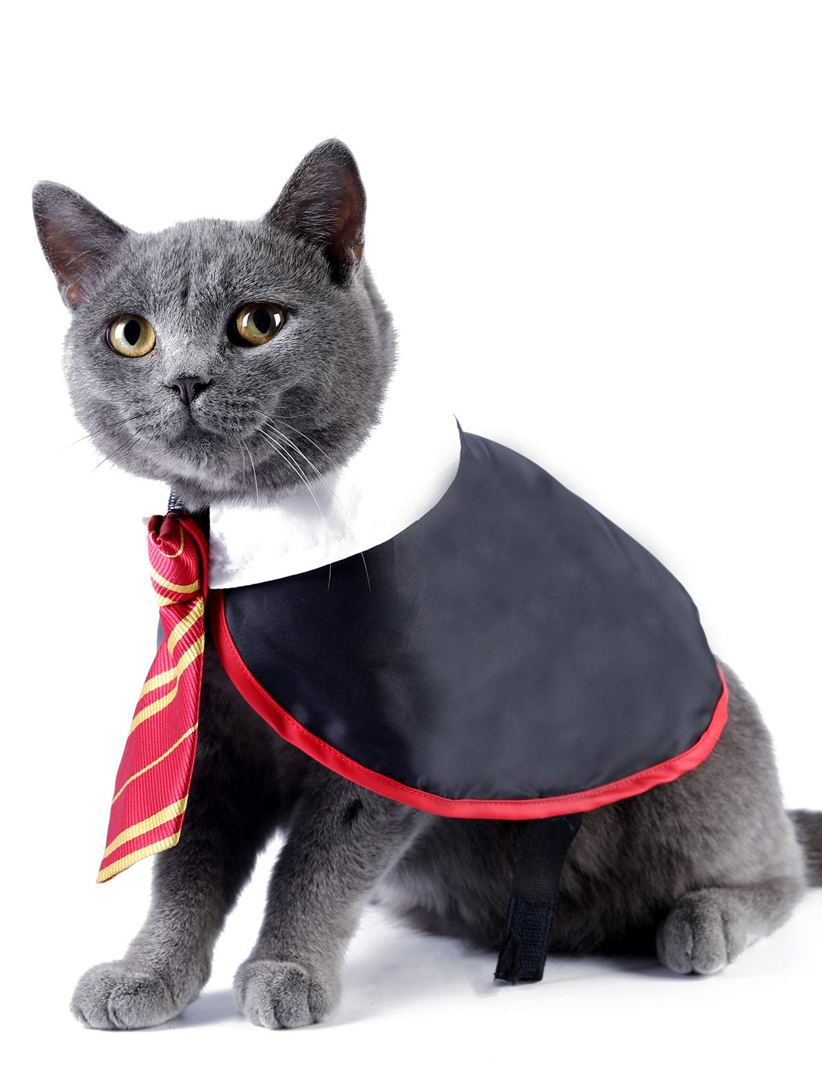 Impoosy Halloween Cat Costume Small Dog Wizard Pet Clothes Cute Apparel Puppy Shirts with Glasses (Small)
