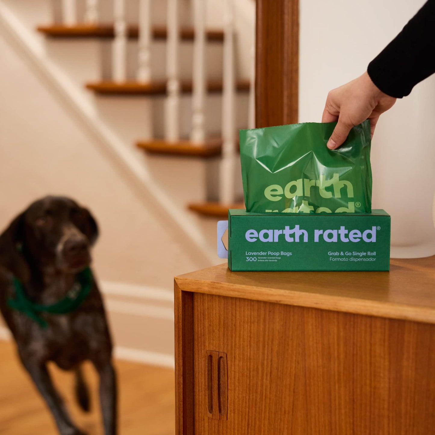 Earth Rated Dog Poo Bags, Thick Grab and Go Single Roll, Ideal for Backyard Pickups, Lavender Scented, 300 Bags