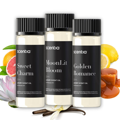 Love Collection Fragrance Oil Set – Essential Oil Blends for Diffusers, Candles & Soaps – Jasmine, Rose, Citrus, Amber & Musk – Made in USA, Phthalate-Free – Holiday Gift Set 3×20ml (2.03 fl oz)
