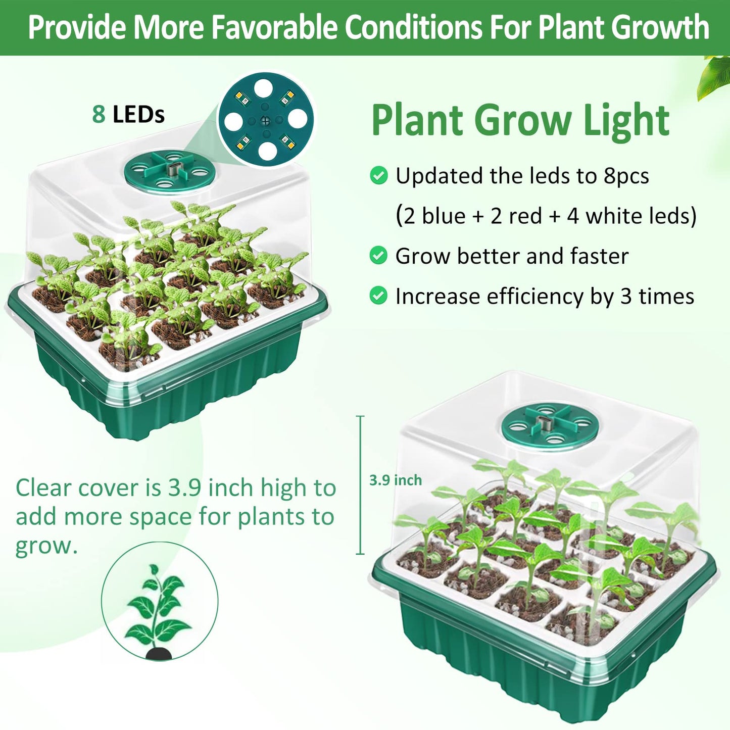 Rarello 5 Packs Seed Starter Tray with Grow Light, Reusable Pop-Out Seed Starter Kit, 60 Cells With Humidity Domes, Indoor Gardening Plant Germination Trays for Seeds