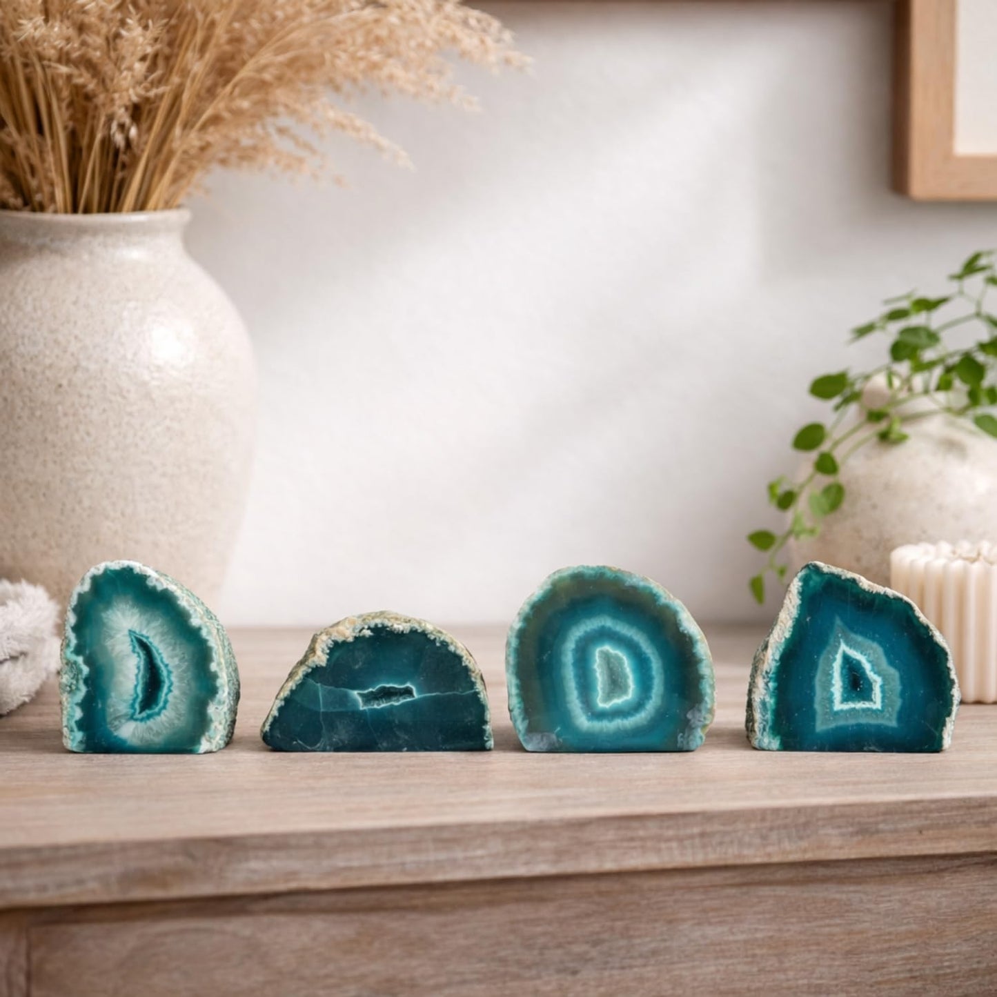 Fossil Gift Shop 2-3" Agate Geode (Green/Teal)