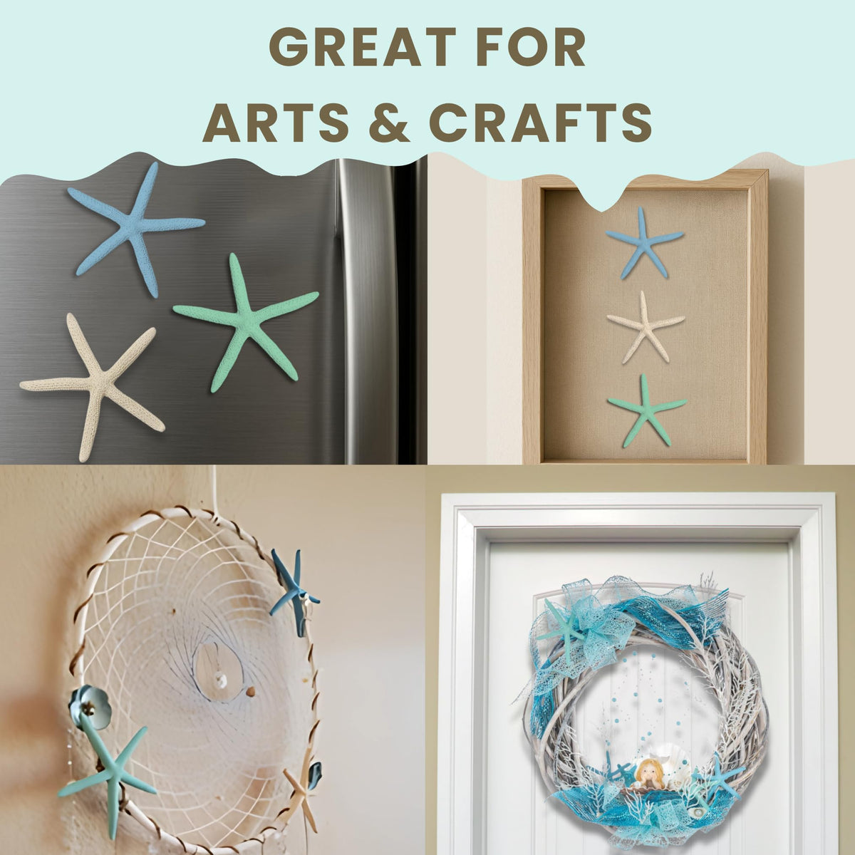 Starfish Decor - Star Fish for Craft - 10pk Real 2-4" Green Blue White Sea Stars - Beach Wedding Decor - Coastal Party Decorations