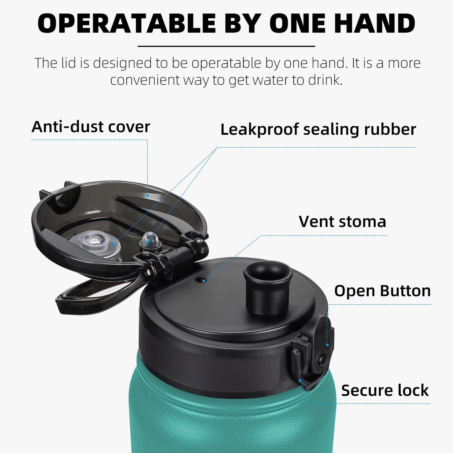 Fanhaw 20 Oz Insulated Stainless Steel Water Bottle with Chug Lid - Leak & Sweat Proof with Anti-Dust Lid (Green Blue)