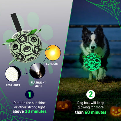 QDAN Halloween Glow in The Dark Dog Toys, Dog Ball with Straps, Soccer Ball for Dogs, Outdoor Dog Toys, Pet Birthday Toys, Puppy Essentials for Medium to Large (8Inch)