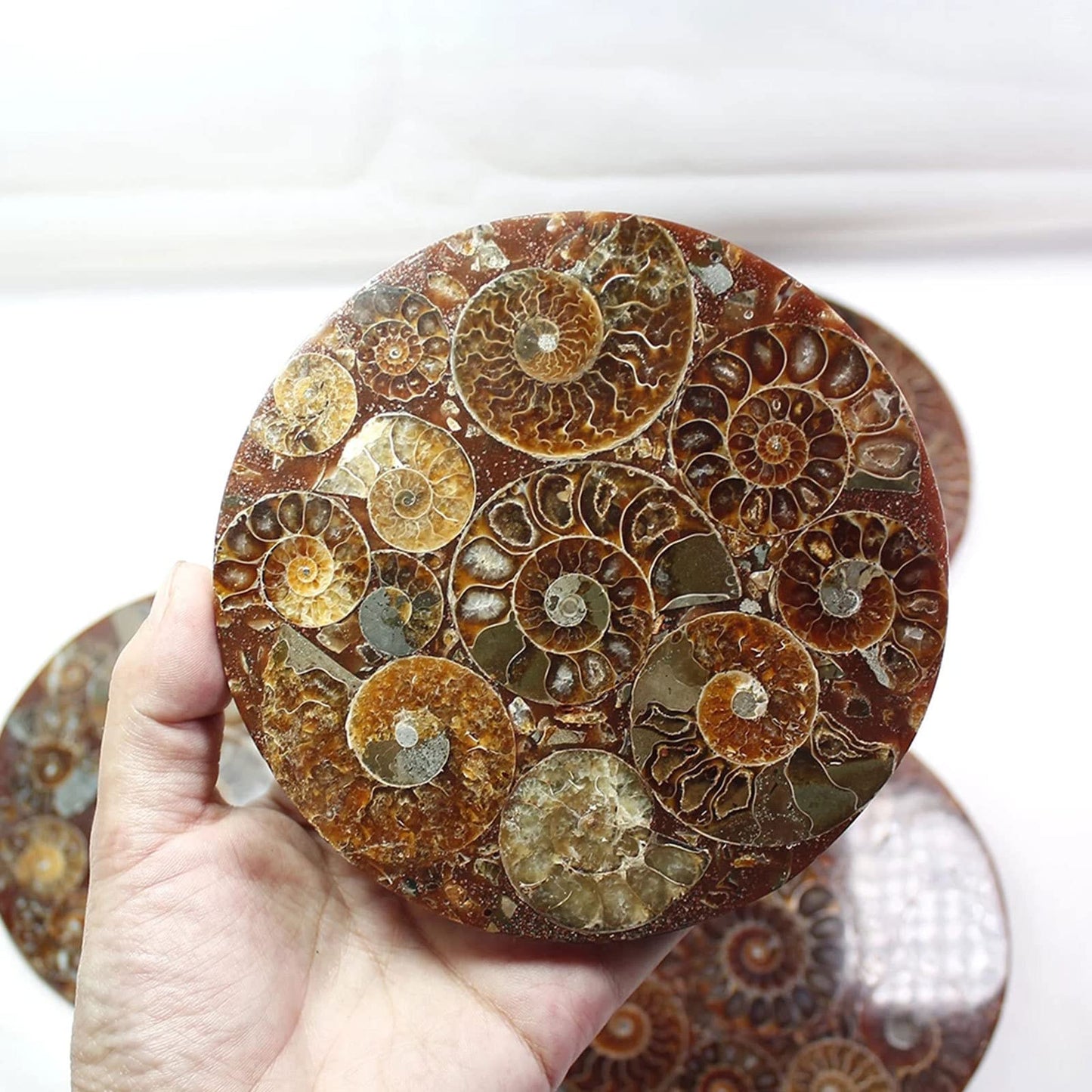 ZHDECOR Natural 11cm Natural Ammonite Shell Plate with Shelf, Mineral from Madagascar Circle Disk, Reiki Crystal Healing Stones Decorations