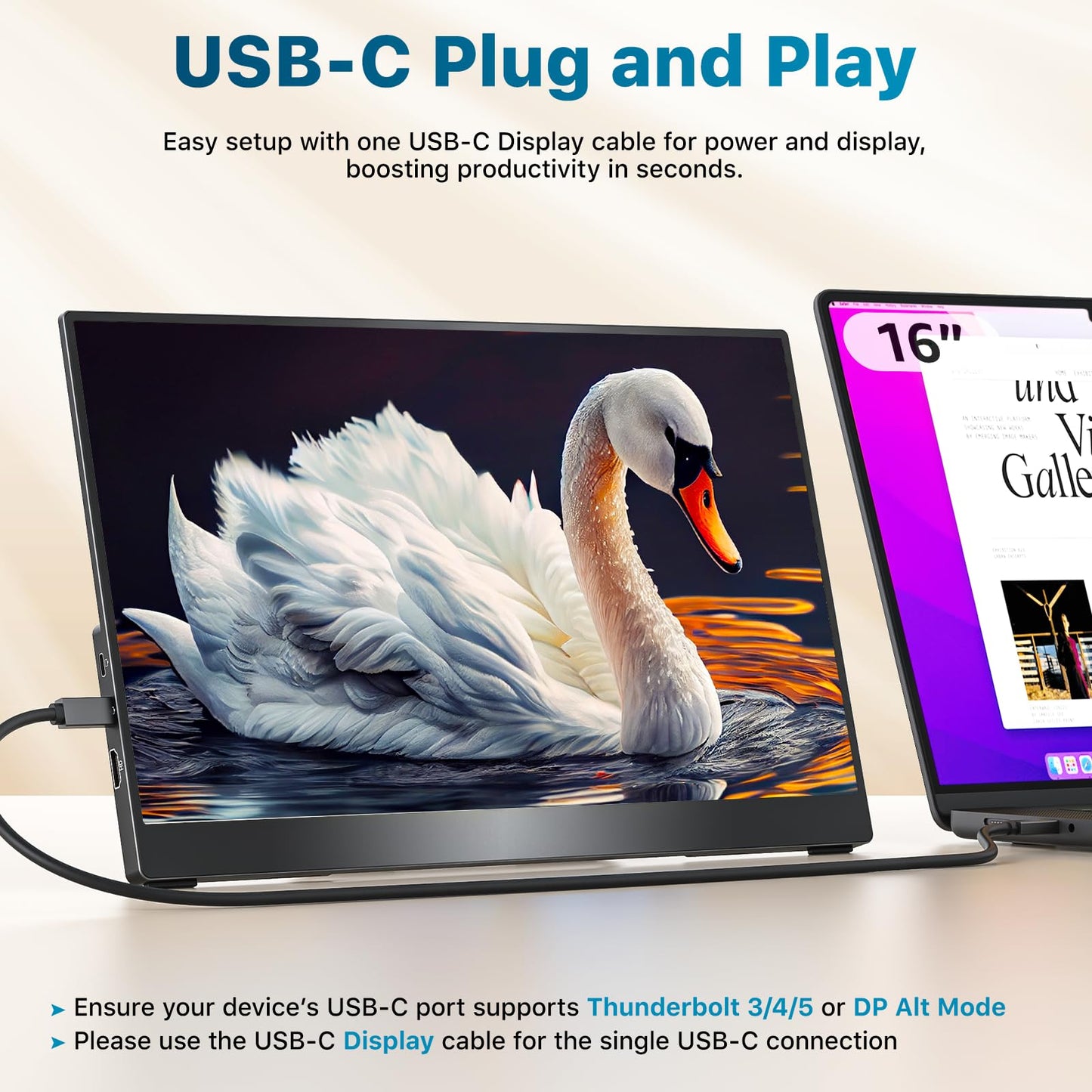 Portable Monitor 18.5 inch 1080P FHD 128% sRGB 100Hz, Travel Monitor for Laptop MacBook Surface PC Xbox PS5, HDMI Dual USB-C VESA Compatible Built-in Speaker, with Kickstand
