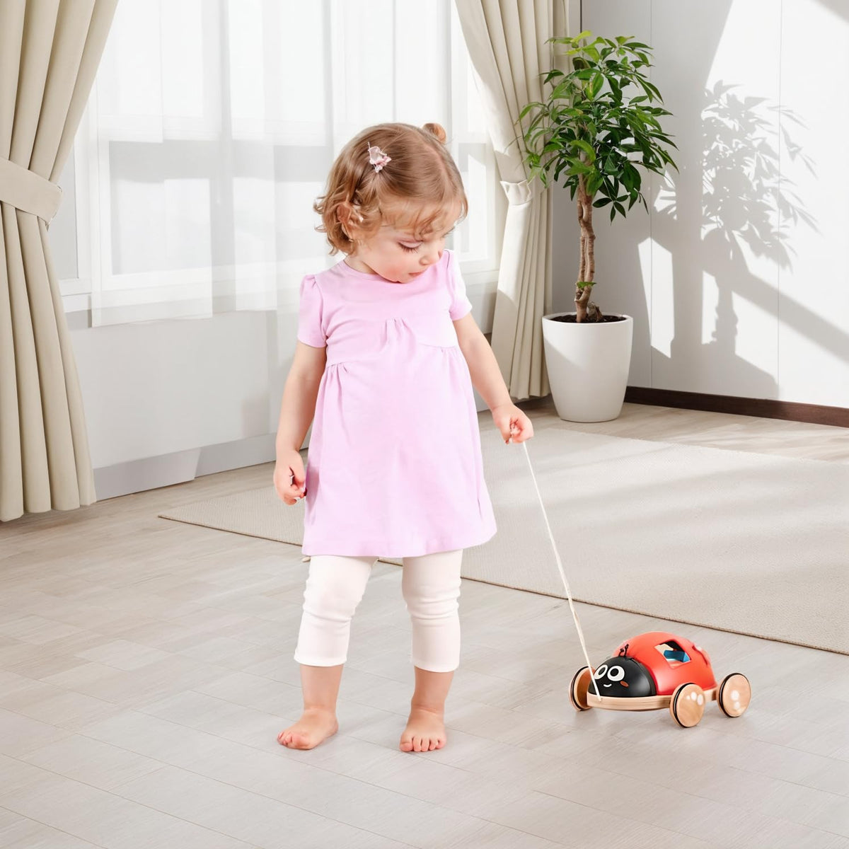 Hape Shape Sorter Ladybug