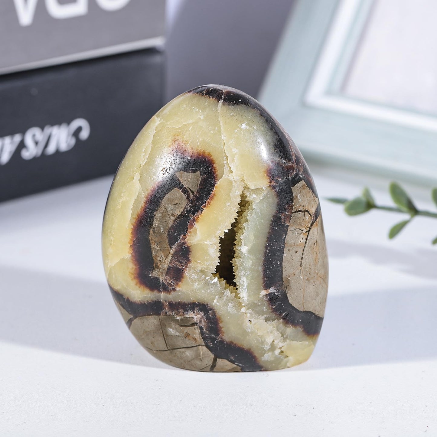 mookaitedecor Natural Septarian Dragon Crystal Cluster Geode, Self-Standing Mineral Specimen Stone Collection for Home Office Decoration, 0.66-0.88 LB