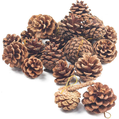 JOHOUSE 18PCS Hanging Natural Pine Cones (1.5"–2.5"), Rustic Pinecones with Strings for Fall Garland, Christmas Tree Ornaments, Wreath Making, Vase/Bowl Filler Winter Decor