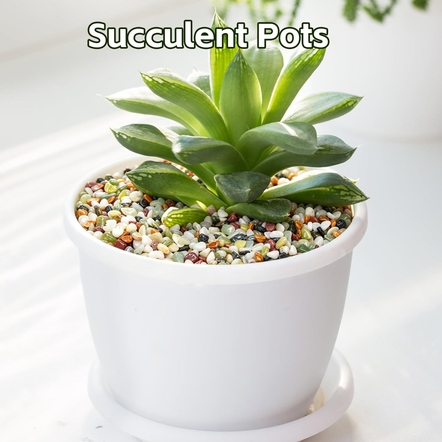 10 lbs Succulent Rocks,3/8 Inch Colorful Pebbles,Small Pebbles for Plants,Suitable for Vases, Cactus Potted Plants, Fish Tanks,Fountain