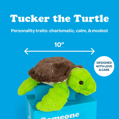 SendAFriend Tucker The Turtle Stuffed Animal Care Package, Someone Loves You Box, Great Gift for Any Reason (Miss You Notecard)