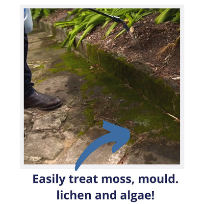 Wet & Forget Mould, Lichen & Algae Remover, Outdoor Patio Cleaner, Black Spot Remover, Bleach Free, 5L