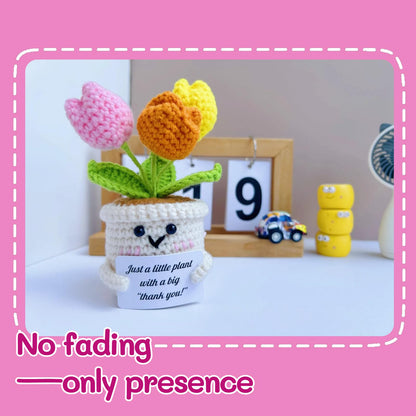 Sulieschen Positive Crochet Tulip Flowers – Handmade Thank You Gifts-Unique Office Decor,New Job Gifts,Positive Energy,Crochet Flowers Appreciation Gift for Women, Mom, Teacher, Friend, Office Décor