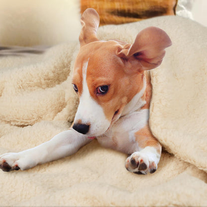 furrybaby Premium Soft Dog Blanket for Medium Small Dogs Puppy Cat Washable Sherpa Fleece 100x120 cm Pet Throw for Bed Furniture Couch Sofa Protection(Large, Beige Blanket)