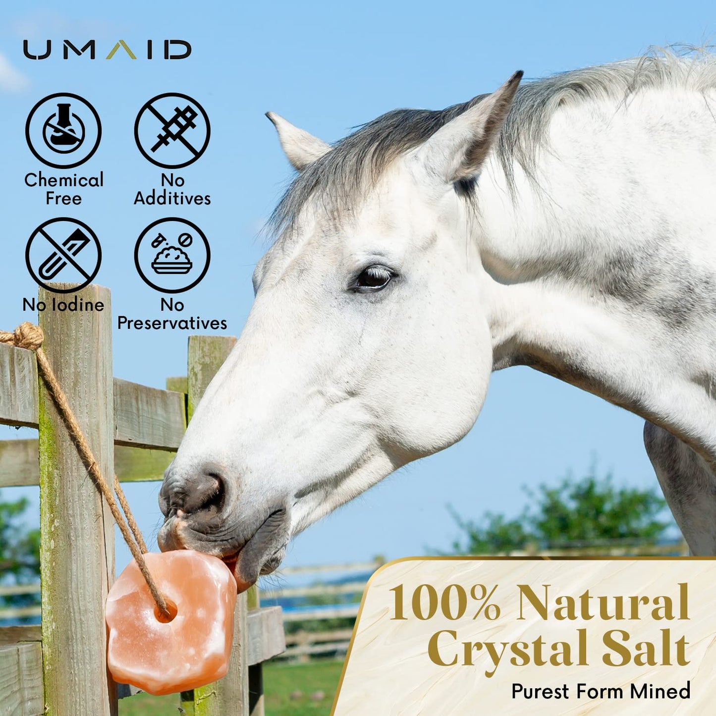 UMAID Himalayan Salt Lick 6 lbs on Rope for Horse, Deer, Goat & Livestock Animals, Salt Lick Deer, Salt Lick for Horses, Salt Block for Horses, Himalayan Salt Block 2 Pack