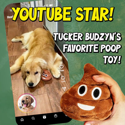 Farting Santa Poop Toy with 7 Funny Fart Sounds - Great for Stocking Stuffers, Secret Santa, or Christmas Gag Gifts - Durable Fake Poop Funny Dog Toy is 4x4.5 - Soft Plush Christmas Novelty