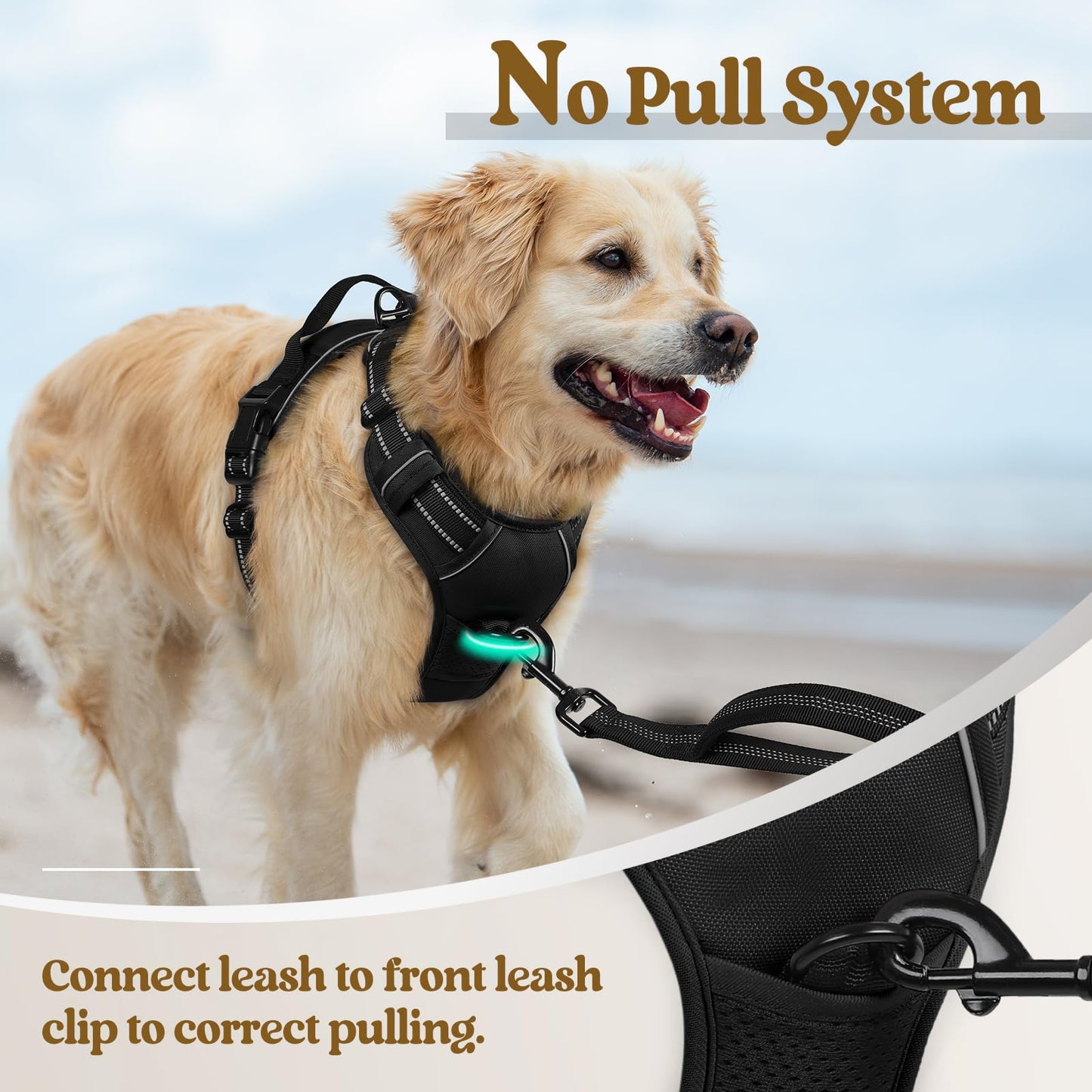 rabbitgoo Dog Harness Large Dog No Pull Pet Harness with 2 Leash Clips, Adjustable Soft Padded Pet Vest Harness, Reflective No-Choke with Easy Control Handle for Training or Walking, Black, L