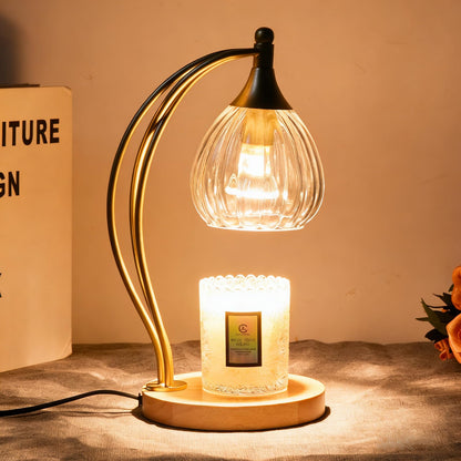 Candle Warmer Lamp with Timer - Dimmable Candle Warmer for Jar Candles-Electric Candles Warmers Light Birthday Gifts for Women Mom House Warming Gifts New Home Decor Gold and Transparent 2 Bulb