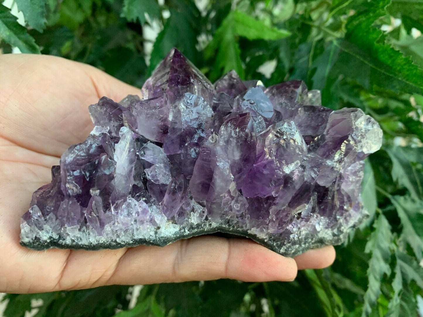 GAF TREASURES Deep Purple Amethyst Cluster, Natural Amethyst Geode, Amethyst Druze, Raw Amethyst Crystal (0.5-1 lb)
