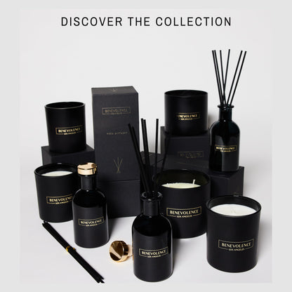 Benevolence LA Reed Diffusers for Home, Lavender & Eucalyptus Relaxing Fragrance | Aromatherapy Reed Diffuser Sticks with Gift Box, Scented Sticks for Bathroom | Home Décor