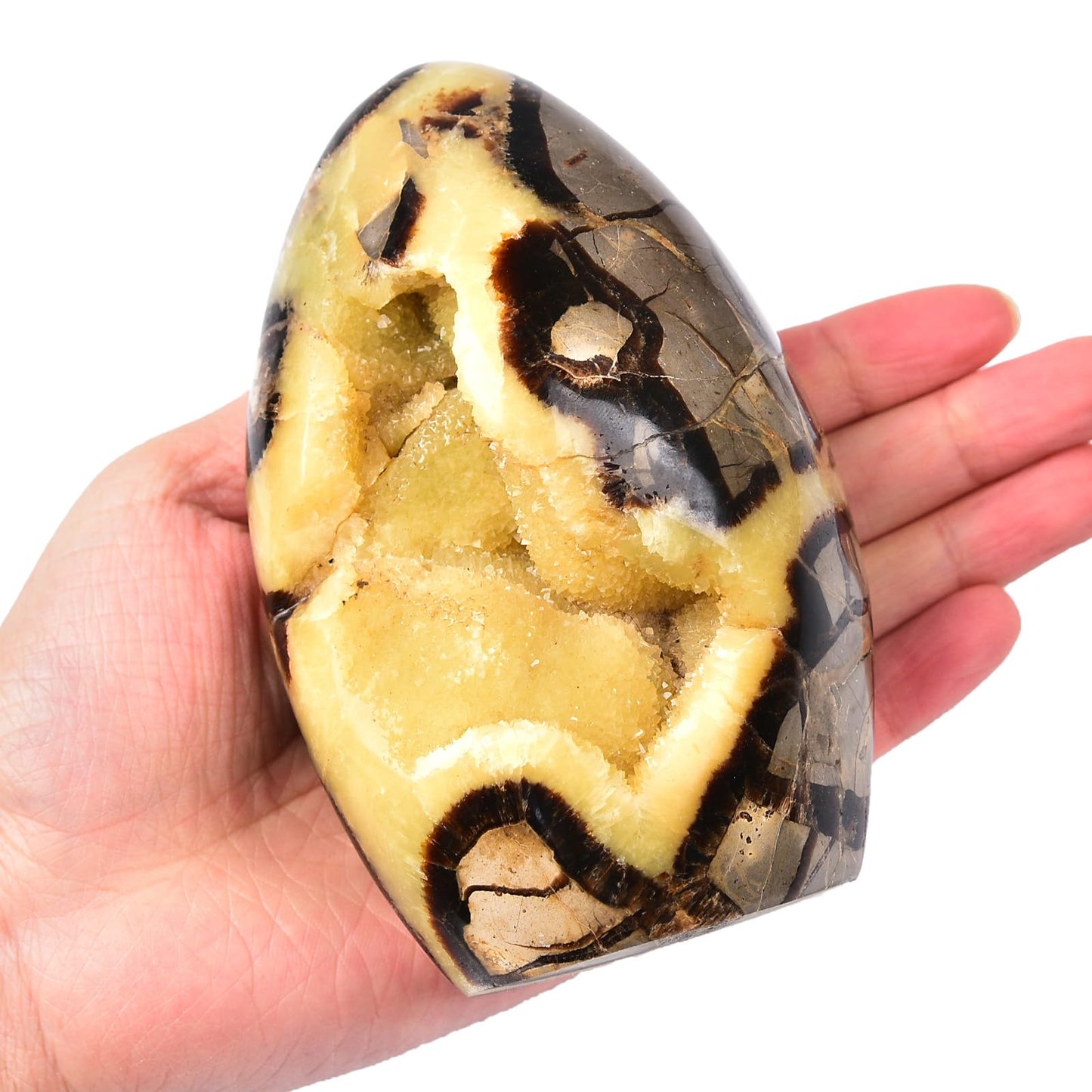 MOGEMT Septarian Geodes Large Healing Crystal Stones Rock Cluster Septarium Druzy Irregular Home Decoration Specimen 1.5-2 Lbs