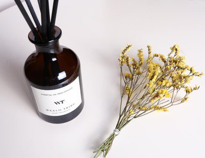 WEALD TRIBE Flower Reed Diffuser Set Vanilla Cinnamon Scent for Bathroom Air Fresheners | 4.0 fl oz Essential Oils with Sticks Home Fragrance Defusers | House Bedroom Office Shelf Decor & Gift