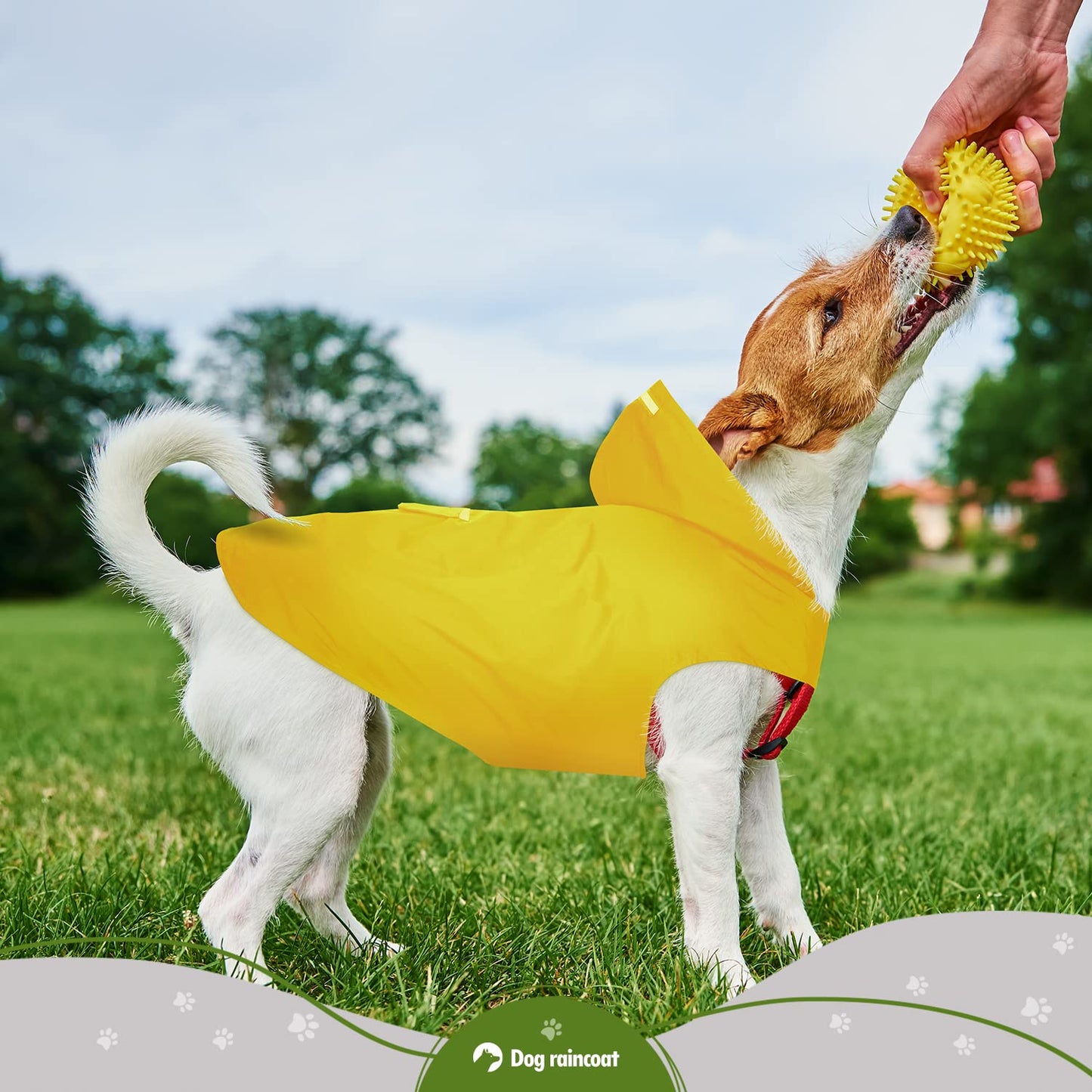 Zellar Dog Raincoat with Hood, Collar Hole, 100% Waterproof Ultra-Light Breathable Rainwear Rain Jacket with Safe Reflective Strips for Medium to Large Dog, Yellow, 5XL