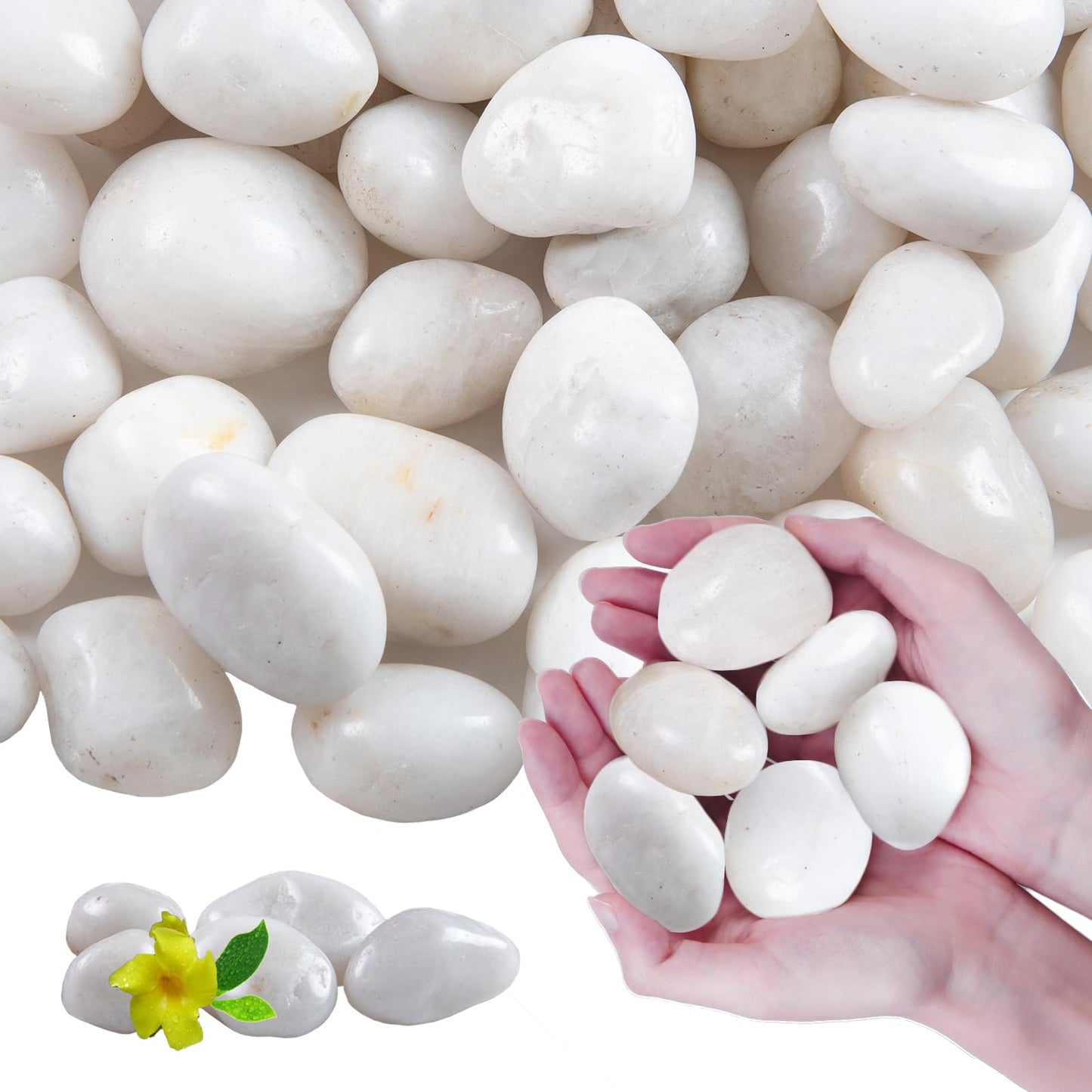 Lechloris 20Ib White River Rocks for Landscaping- High Polished Pebbles for Plants-Garden Decorative Stones-1-2 Large Plant Rocks,Ideal for Aquarium, Home Decor