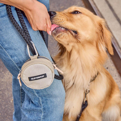 Cleverpup Dog Walk & Train Bundle - Hands Free Training Sling in Sand, Snackpack in Sand, & Small Nomad Bowl in Sand