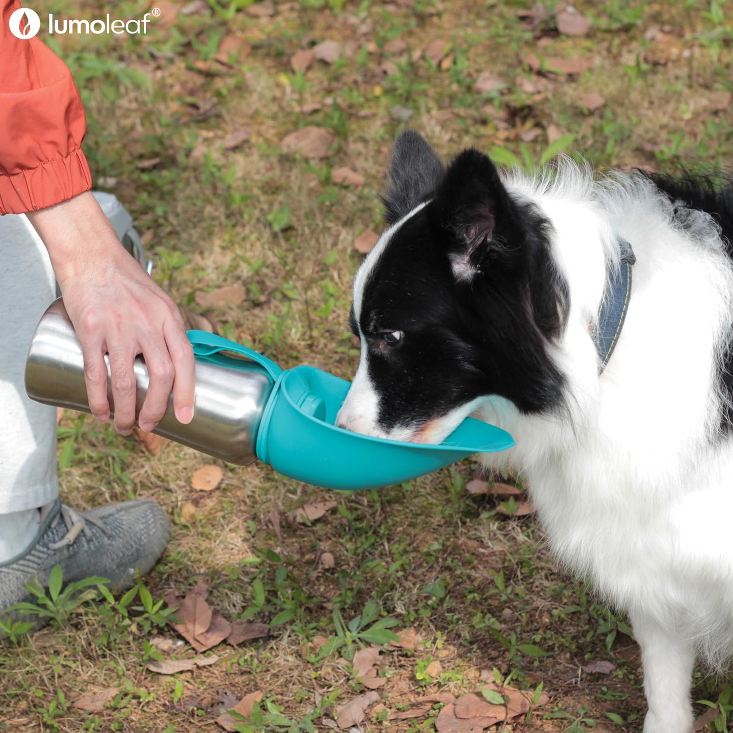 LumoLeaf Portable Dog Water Bottles 800ml, Stainless Steel Pet Travel Water Bottle Dispenser for Walking, Hiking and Outdoor, Portable Water Bowl for Large Dogs (Blue)