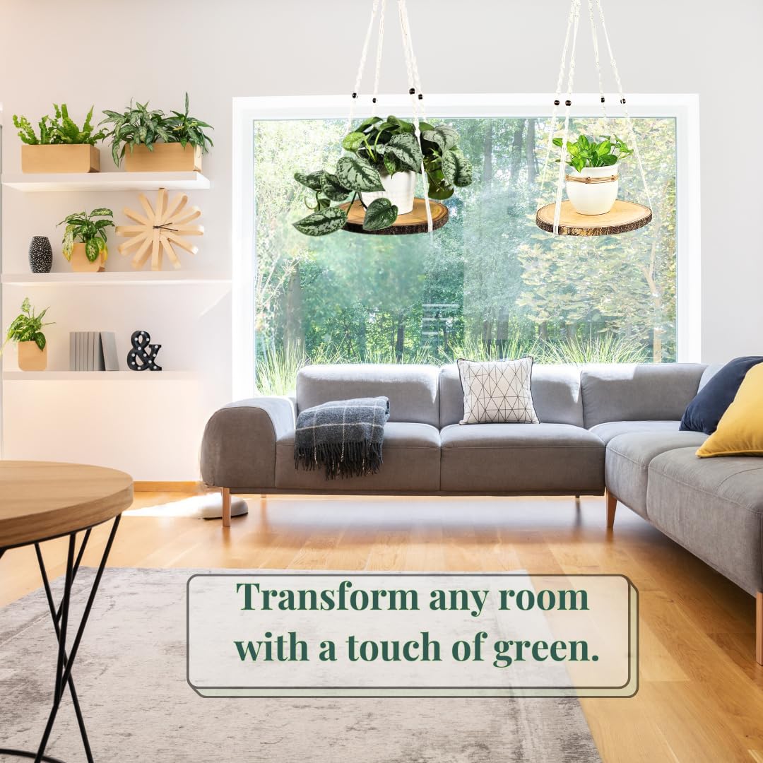 Leafy Accents Hanging Plant Shelf - Hanging Planters for Indoor Plants - Hanging Plant Holder with Floating Raw Wood Shelf - Window Plant Hanger - Minimalist Home Decor (Natural)