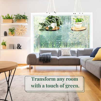 Leafy Accents Hanging Plant Shelf - Hanging Planters for Indoor Plants - Hanging Plant Holder with Floating Raw Wood Shelf - Window Plant Hanger - Minimalist Home Decor (Natural)