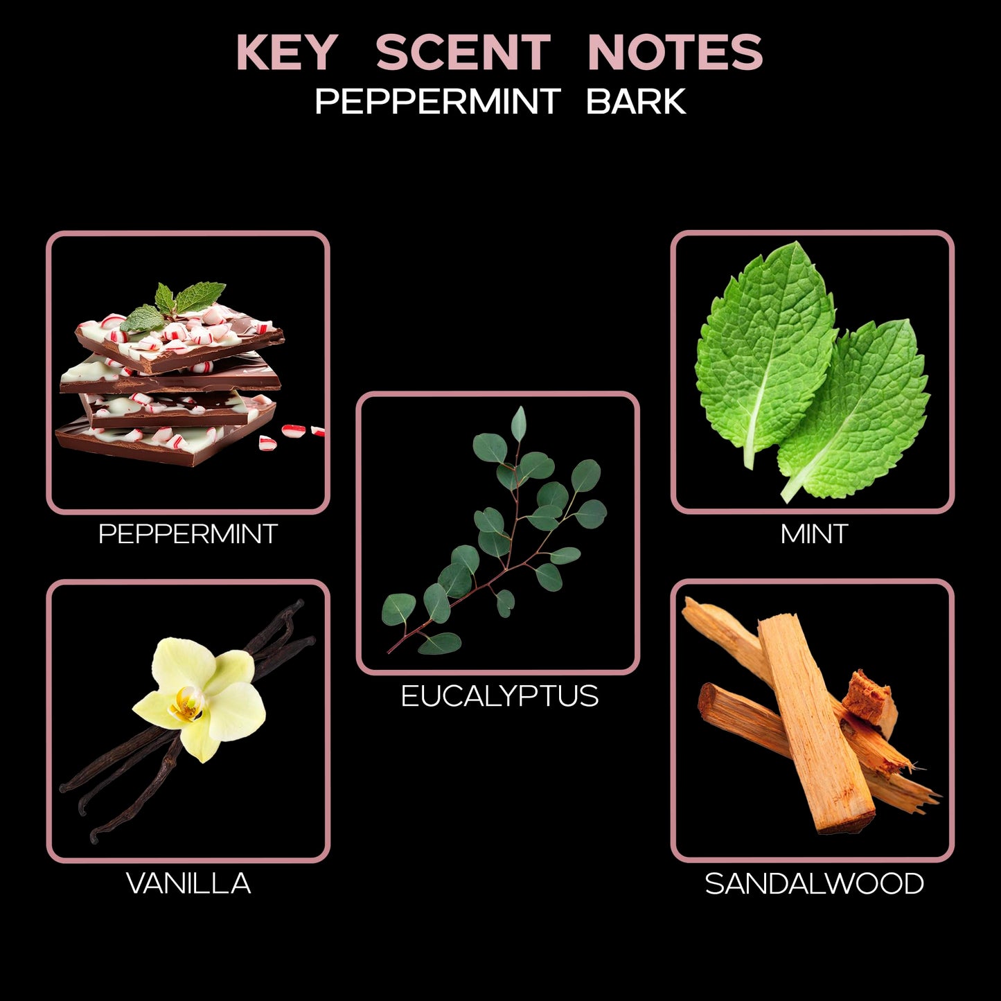 LOVSPA Reed Diffuser Set, Smoked Vanilla Scented Oil Diffuser with Sticks, Home Fragrance Accessories for Bathroom Shelf Decor, Aroma Diffusers for Home or Office Fall Decor, USA Made