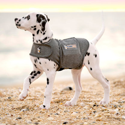 Thundershirt Anxiety Dog Shirt Heather Grey (Medium)