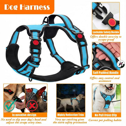 LOBEVE No Pull Dog Harness, Collar & Leash Set | Includes Dog Seat Belt, Collapsible Bowls & Poop Bag Dispenser. Ideal for Training, Walking, Hiking. Fits Small to Large Dogs(Blue-S)