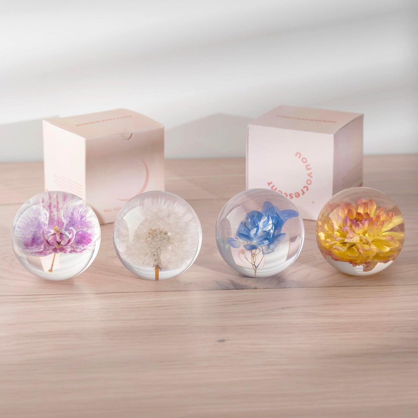 NouvoCrescent Real Dandelion Paperweight - Home Decor Crystal Resin Ball 3.14in (80mm) - Clear Resin Dandelion Flower Globe for Special Days - Sphere Figurine Office Paperweight w/Flat Bottom