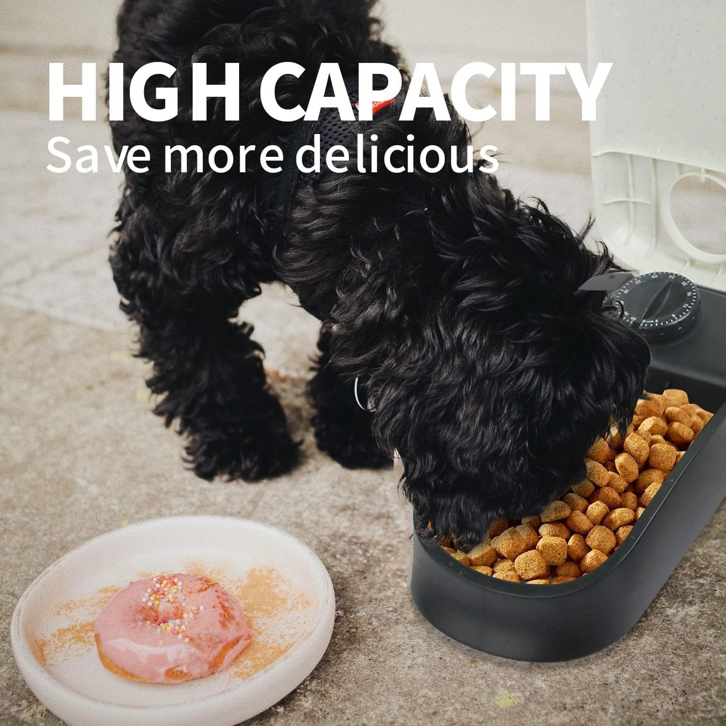 PAWISE Automatic Pet Feeder Food Dispenser with Timer for Cats and Dogs, Cat Food Container, Food Dispenser Station with Timer, 100% BPA Free, Dishwasher Safe(1 Meal)