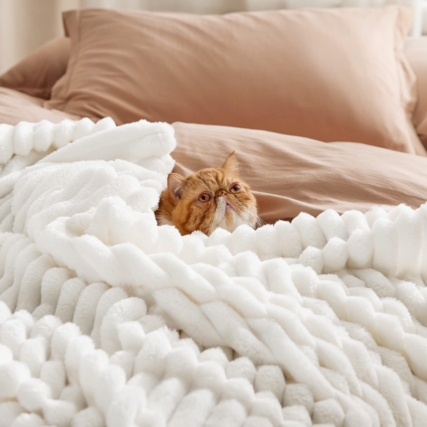 Bedsure White Throw Blanket for Couch, White, 50x60 Inches