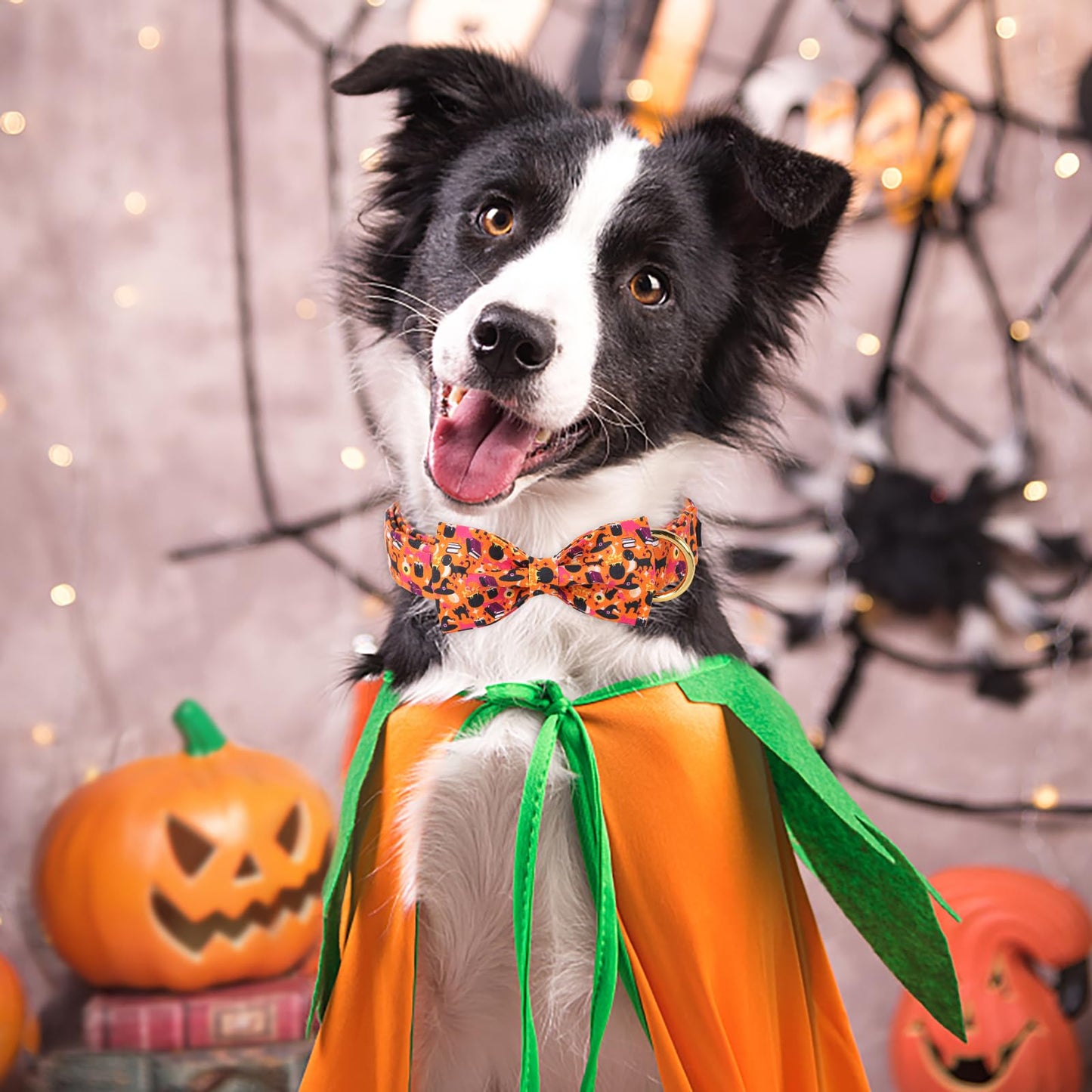 ARING PET Halloween Dog Collar, Cute Orange Festival Dog Collar with Bow, Adjustable Cotton Halloween Pet Collars with Metal Buckle
