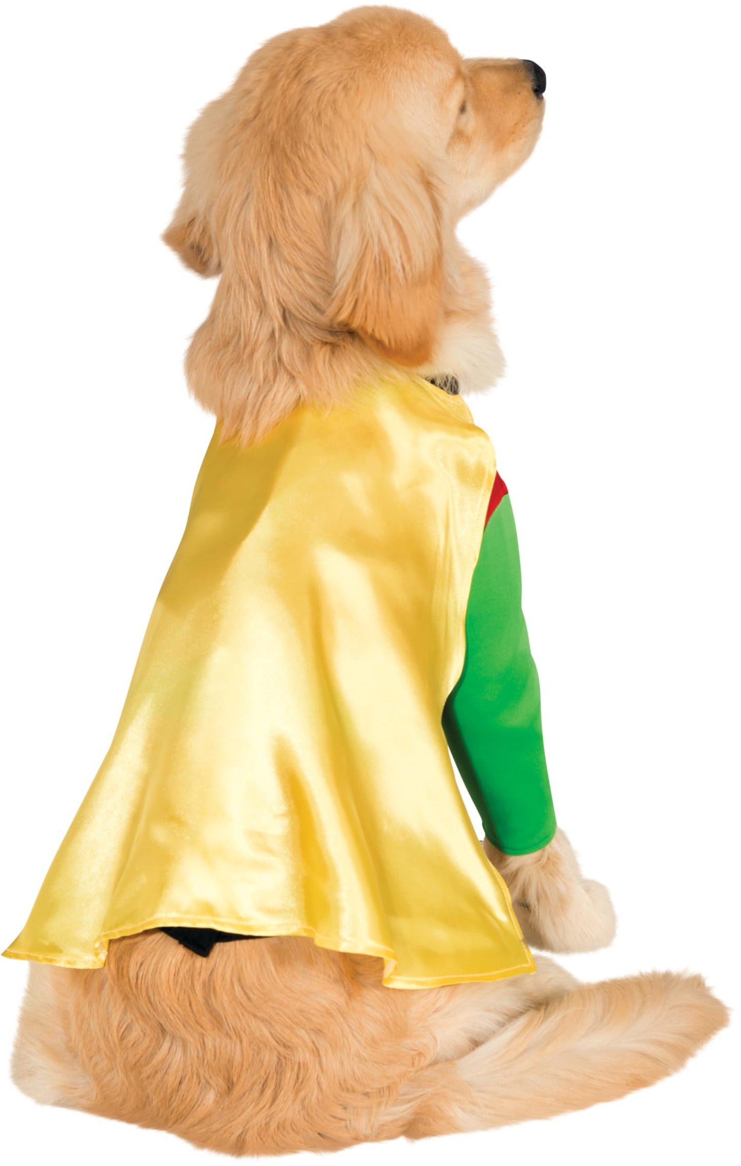 Rubies Teen Titans: Robin Pet Costume for Dogs or Cats, 3X