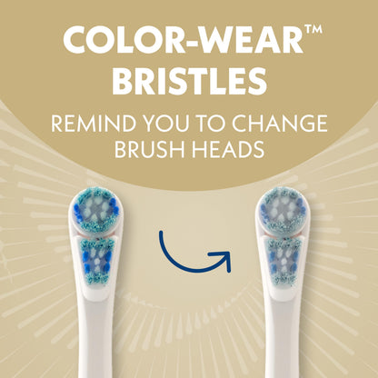 Spinbrush Smart Clean Battery Powered Electric Toothbrush for Adults with Dual Action Head, Pacer & Timer, Champagne, Soft Bristles, 1 Count