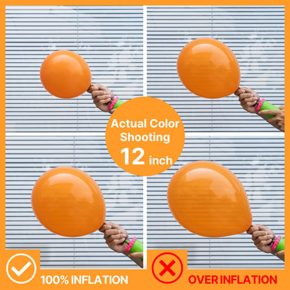 PartyWoo Orange Balloons 100pcs 5 Inch Latex Helium Balloons for Birthday Baby Shower Graduation Fall Tangerine Little Cutie Pumpkin Tropical Sunshine Boho Theme Party Decorations Orange-Y9
