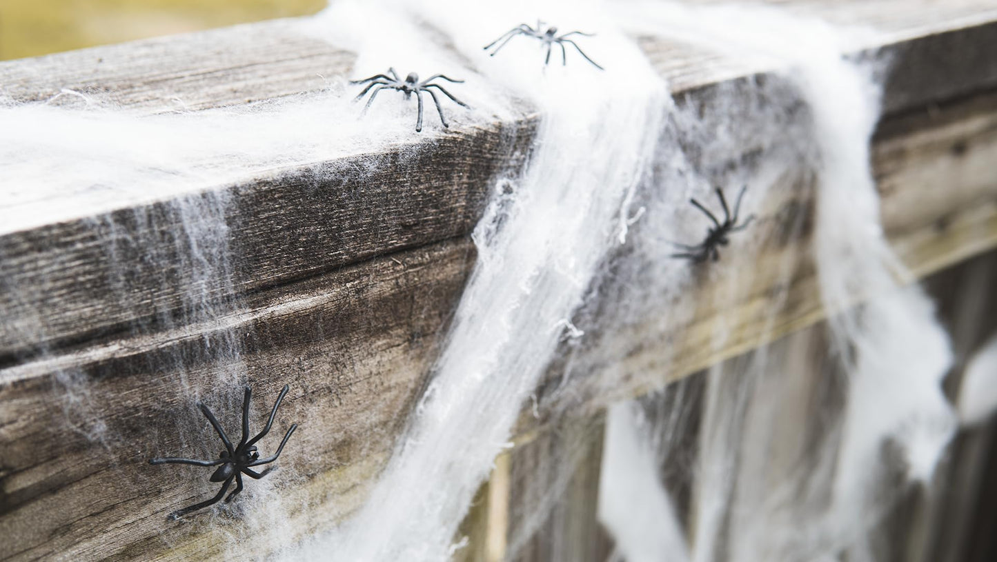 Happy Hippo Halloween Spider Web Decoration, 200 Sqare Feet & Plastic Spiders, Halloween Party Supplies, Spider Webs (Small, 200 Sq Feet) (8 Fake Spiders Included)